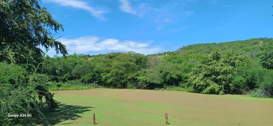 Community and Biodiversity Tour of the Tatacoa Neiva Desert - Las Ventanas Mirador to Astrosur: views by daylight, then the sky at night
