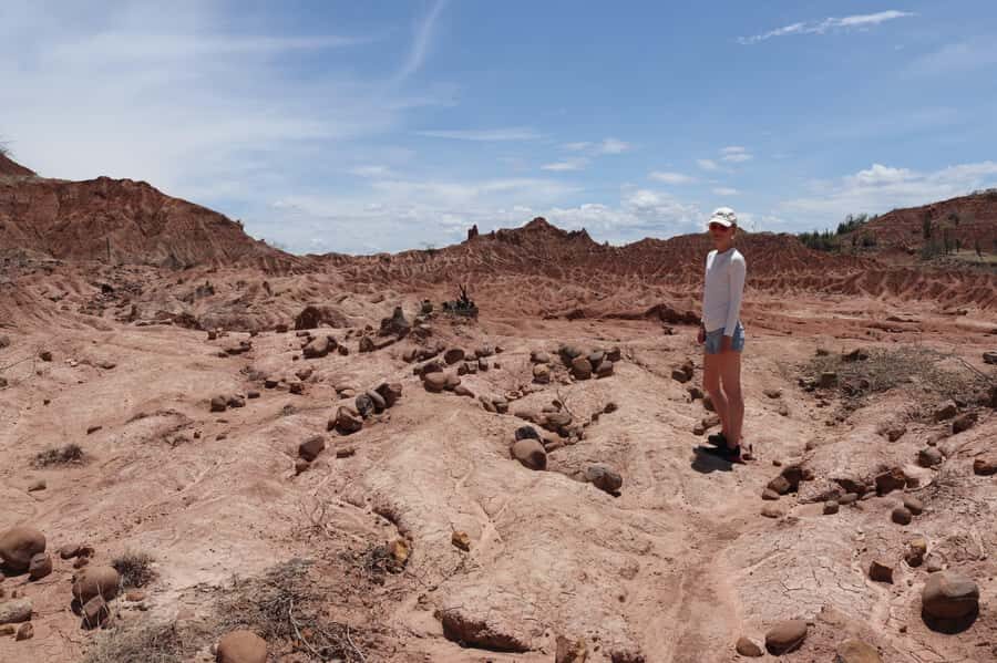 Community and Biodiversity Tour of the Tatacoa Neiva Desert - Getting there from Neiva without making your day miserable