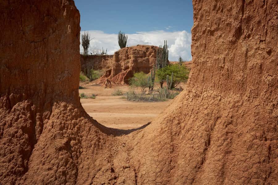 Community tour Biodiversity Latatacoa Desert Villavieja - How This Biodiversity Day Actually Feels in the Tatacoa Region