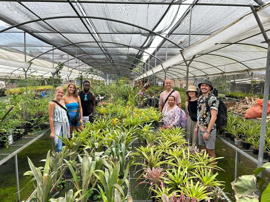 Comuna 4 - Moravia Tour - Key Points You’ll Care About