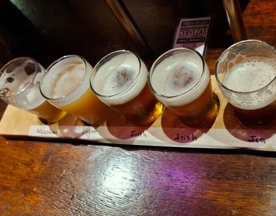 Craft Beer Pub Crawl in Cali - Timing, walking, and the small-group rhythm (what to expect)