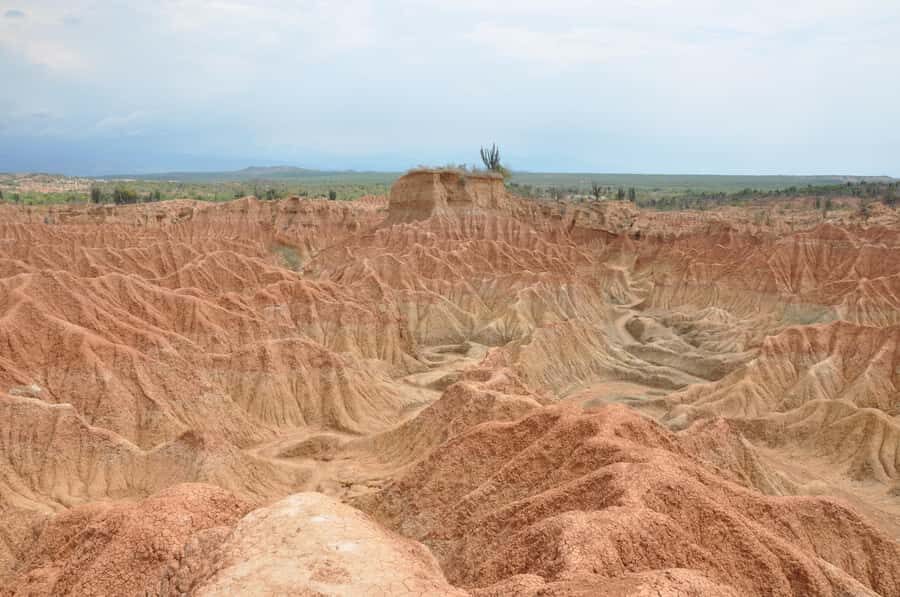 Day Trip to Tatacoa Desert (Horseback, Boat, Stargazing, ..) - Boat ride on the Magdalena River: fishing secrets and real local flavor
