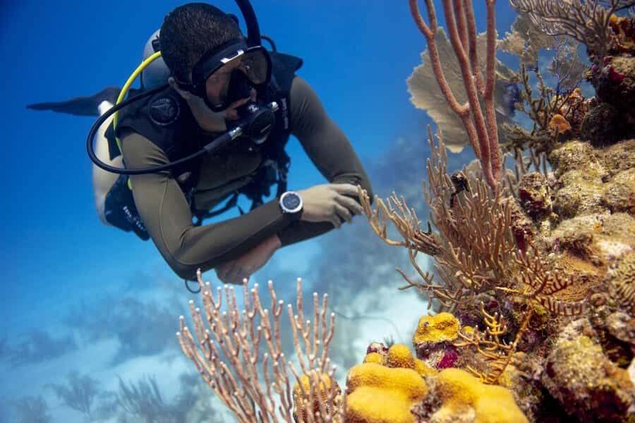 Diving Santa Marta & Tayrona for Certified Divers (2 tanks) - Key things I’d pay attention to
