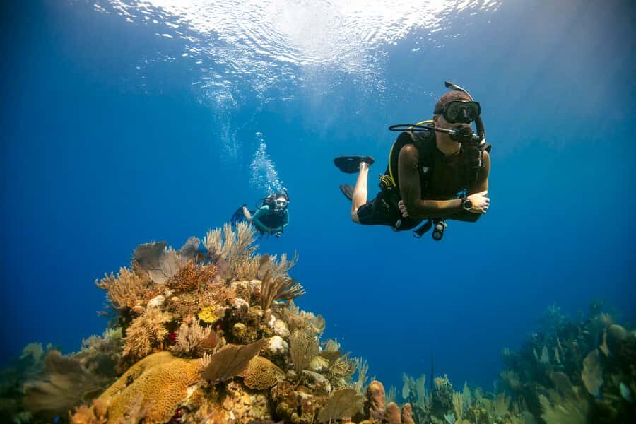 Diving Santa Marta & Tayrona for Certified Divers (2 tanks) - Tayrona Park in one day: what “2 tanks” really means