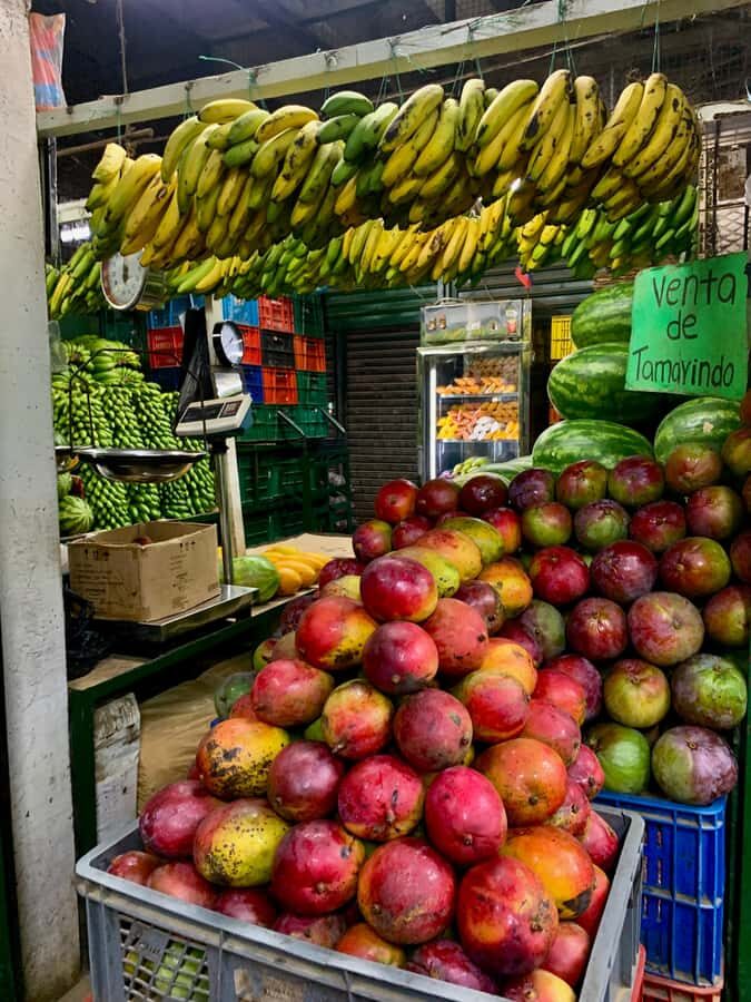 Essential Fruit Experience - Key points to know before you go