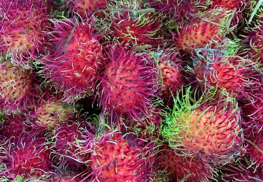 Essential Fruit Experience - Who this tour fits best (and who might want more time)