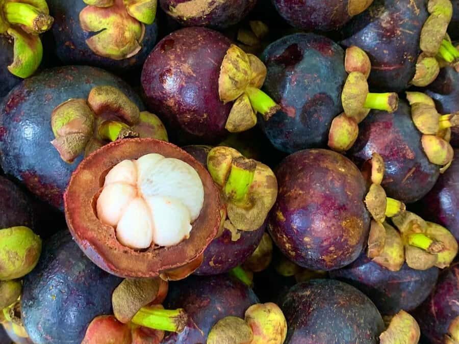 Essential Fruit Experience - What the guide experience feels like in practice