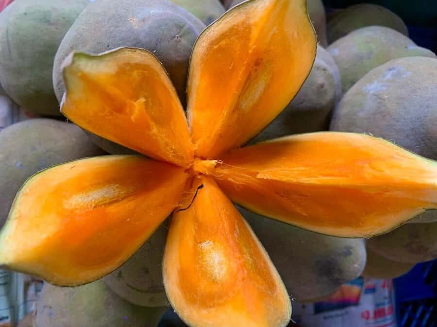 Essential Fruit Experience - The e-book: your souvenir is also a study tool