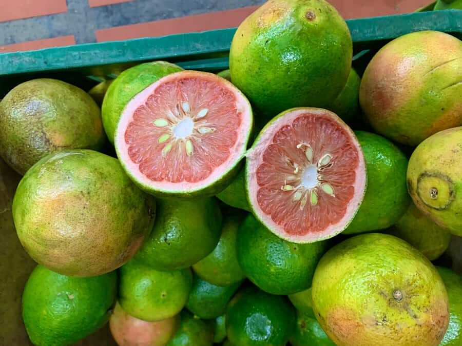 Essential Fruit Experience - Where you meet: Metroplús or the main entrance