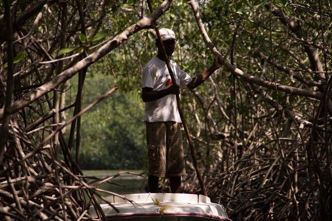 Explore La Boquilla’s Mangrove Tunnels with Local Fishermen - Key takeaways before you go
