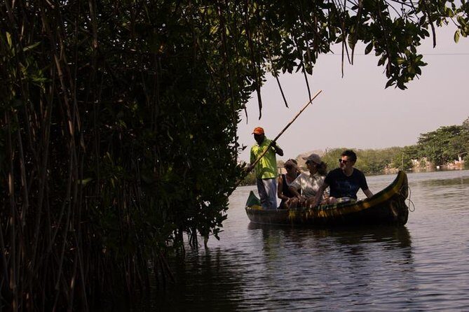 Explore La Boquilla’s Mangrove Tunnels with Local Fishermen - Ciénaga de Juan Polo: conservation you can notice in fish and birds
