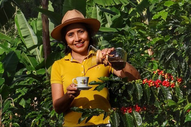 Explore the Coffee Process_From Tree to Cup & Fun by Jeep - Key things that make this coffee tour work