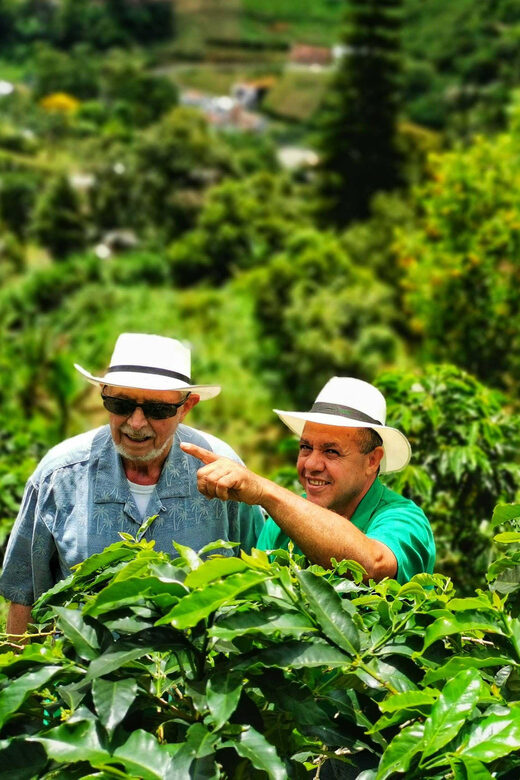 From Bogota: 5 hour guided coffe farm tour - All included - Lunch in Ubaque: Colombian food with stories built in