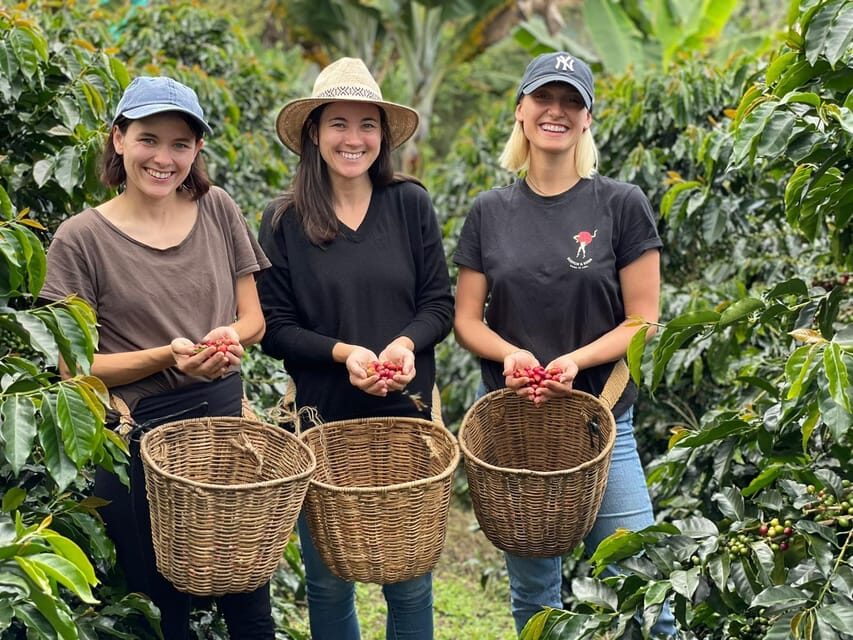 From Bogota: 5 hour guided coffe farm tour - All included - Guides and group size: the personal touch that changes the day