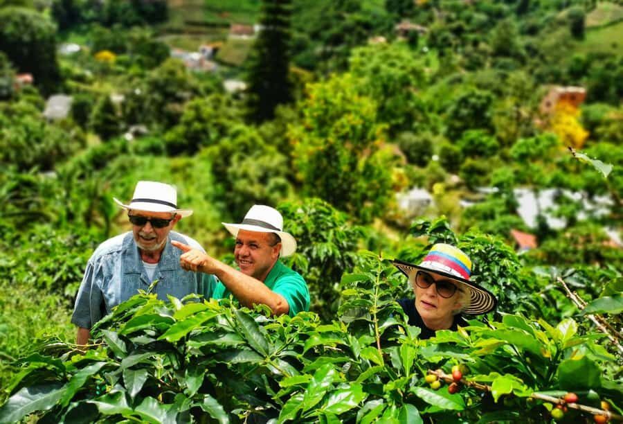 From Bogota: 5 hour guided coffe farm tour - All included - Price and what you actually get for $118