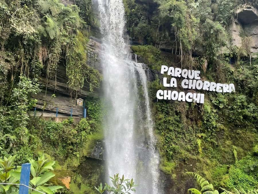 From Bogotá: Chingaza National Park Eco Tour - Rincón del Oso Trail: páramo ecology, wildlife chances, and hiking pace