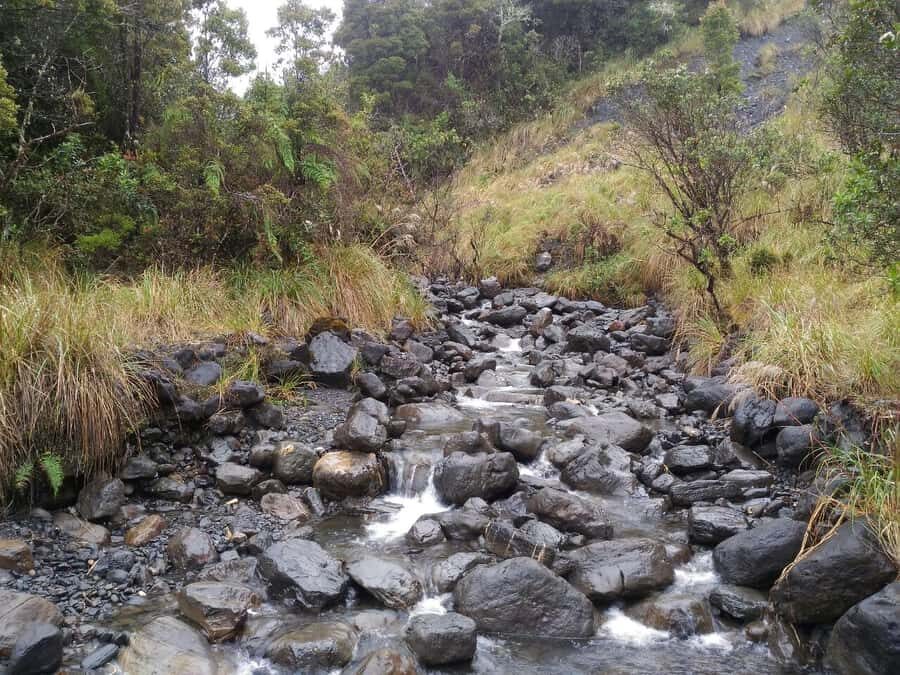 From Bogotá: Chingaza National Park Eco Tour - Mountain weather reality: how cold, rain, and altitude affect your day