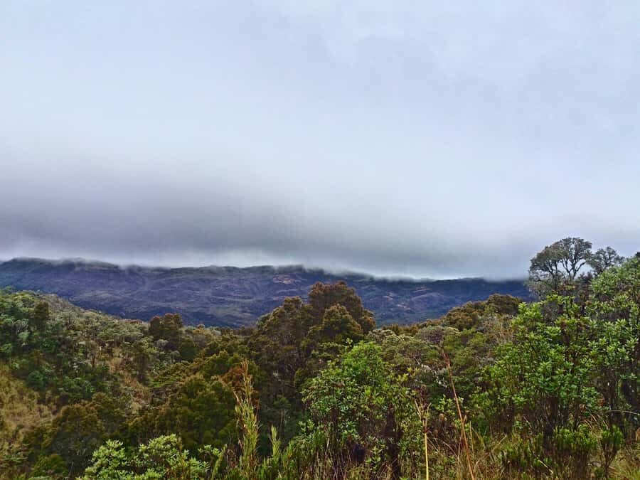 From Bogotá: Chingaza National Park Eco Tour - Getting there: the Eastern Cordillera drive and a La Calera option