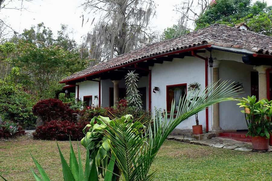 From Bogotá: Coffee Farm Experience Private Day Tour - Hacienda Coloma coffee farm: history, farming basics, and a real walk