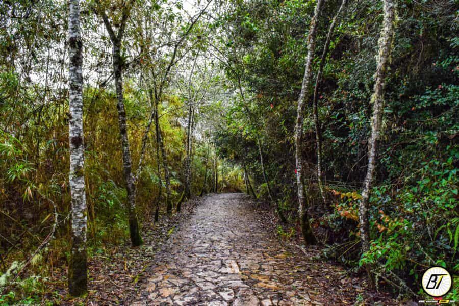 From Bogota: Guatavita Lake & Zipaquira Salt Cathedral Tour - Guides, languages, and the advantage of a private format
