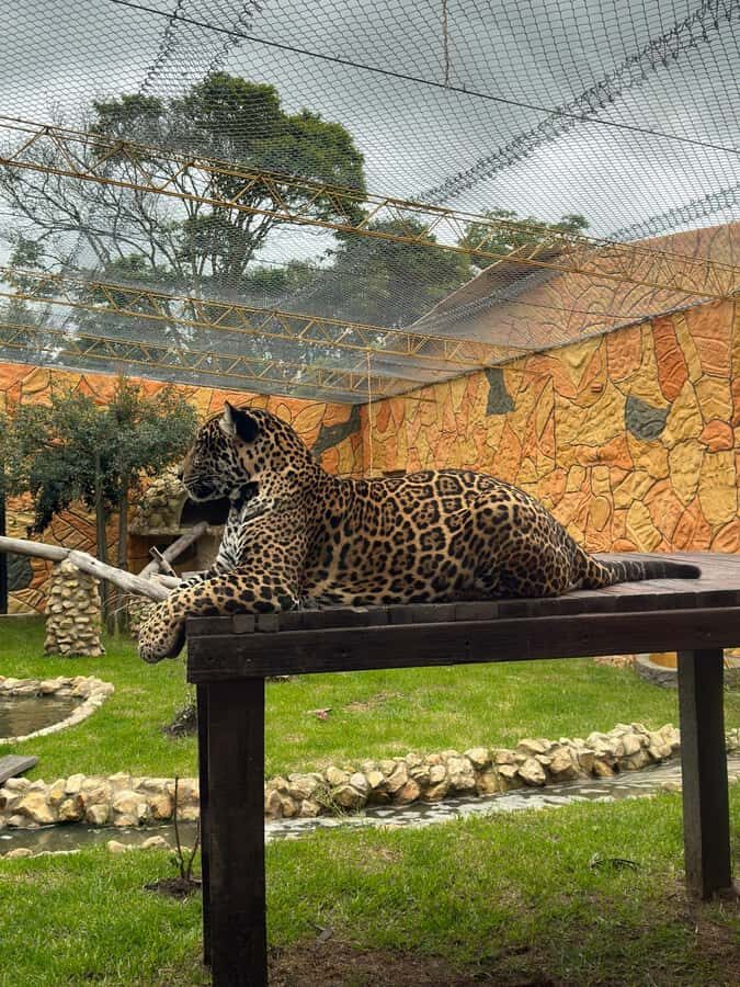 From Bogota: Jaime Duque Park and zoo with ticket included - At the entrance: Taj Mahal replica sets the tone (and makes photos easy)
