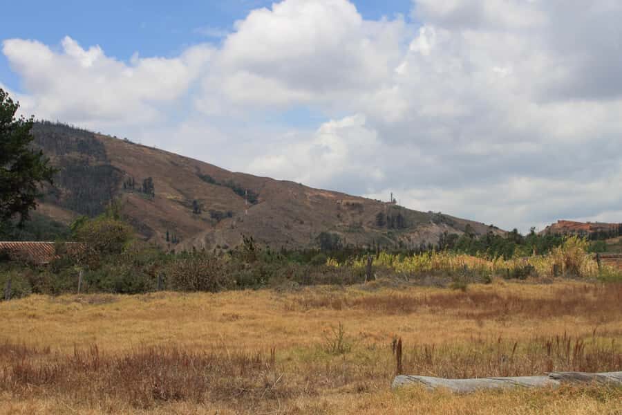 From Bogotá: Private Tour to Villa de Leyva - Key points worth planning around