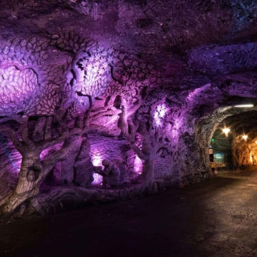 From Bogota: Salt Cathedral Tour in Zipaquirá - Coffee, food tasting, and an arts & crafts market stop