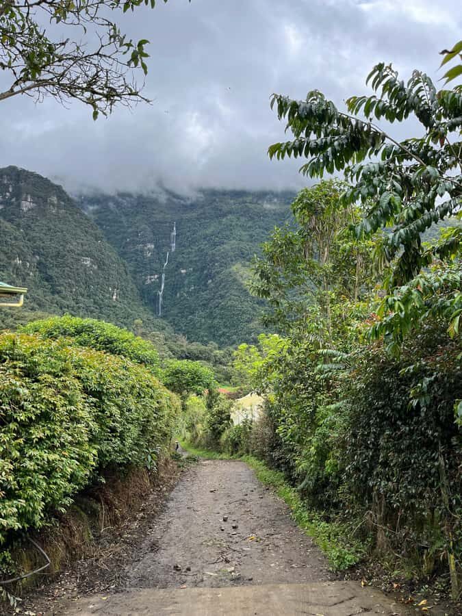 FROM BOGOTA: Tour to La Chorrera, Colombia's highest waterfall. - Key Things You’ll Notice on This La Chorrera Day