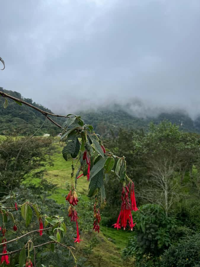 FROM BOGOTA: Tour to La Chorrera, Colombia's highest waterfall. - Getting Into the Park: Entrance Access and What It Means for Your Time