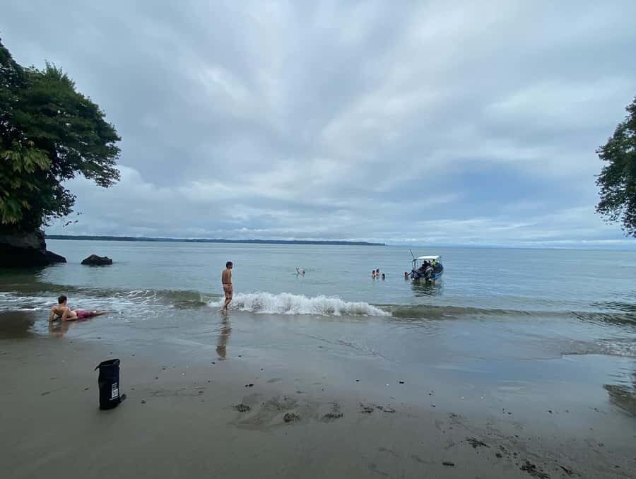 From Cali: Whale Watching Day Trip in Buenaventura - Cali to Buenaventura: a long day with payoff views