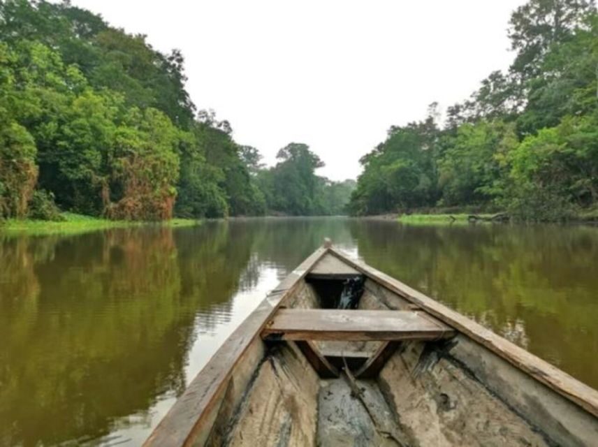 From Leticia: Wild Amazonas Adventure 4-Day Tour - Guides, safety, and how the tour keeps things under control