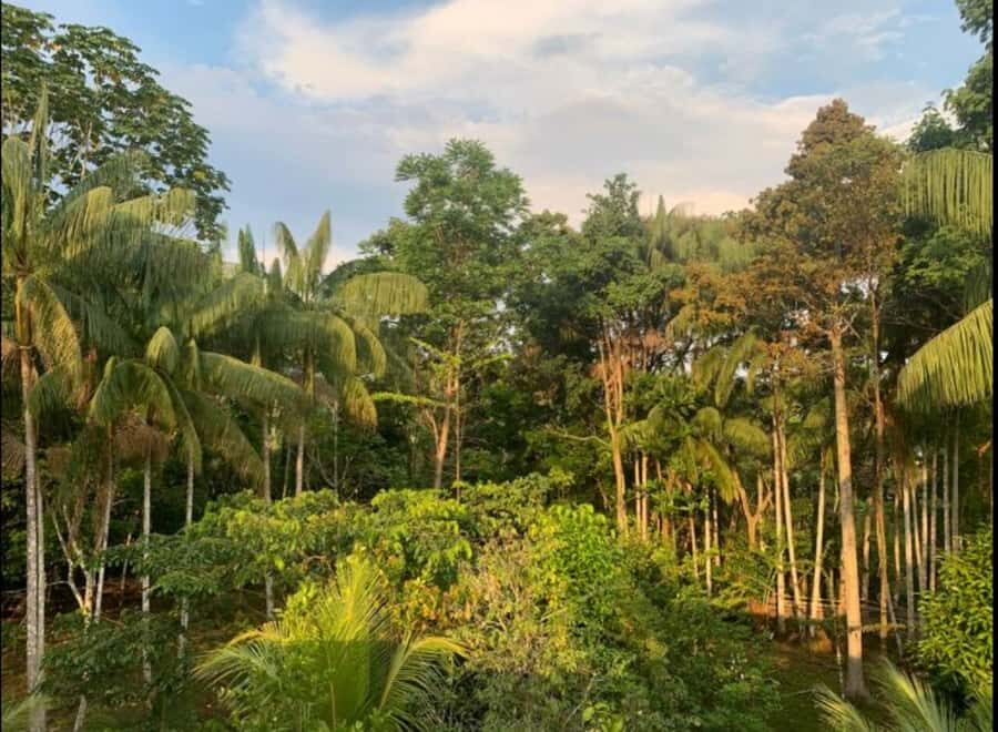 From Leticia: Wild Amazonas Adventure 4-Day Tour - Who this tour fits best