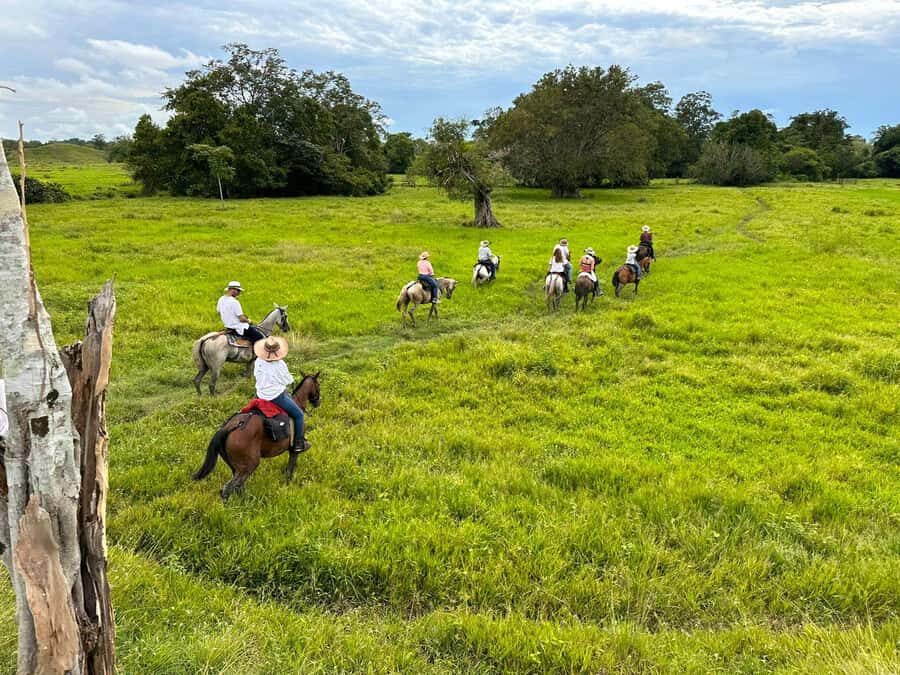 From Medellin; (All-In) The Real Horseback Ranch Experience - Key points to know before you go