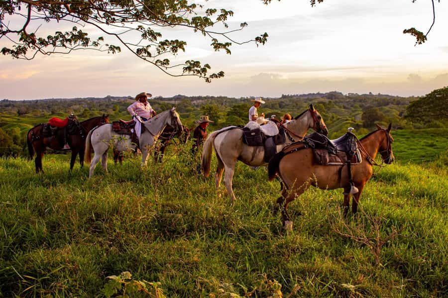 From Medellin; (All-In) The Real Horseback Ranch Experience - Real ranch horses, control on the trail, and what the guides do for you