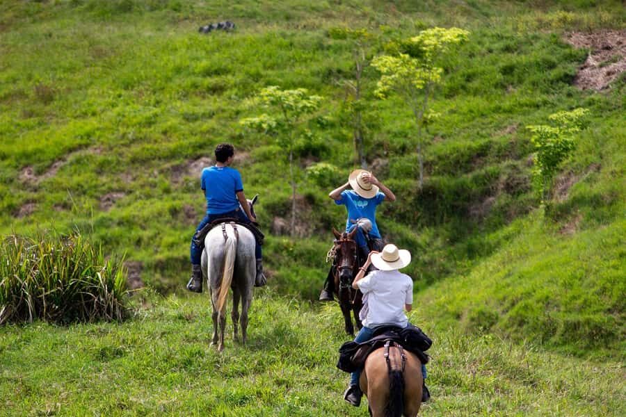 From Medellin; (All-In) The Real Horseback Ranch Experience - Two saddle sessions through hills, water, and native terrain