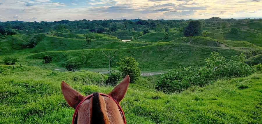 From Medellin; (All-In) The Real Horseback Ranch Experience - Fiambre palm-leaf picnic in the pastures: lunch with a ranch purpose