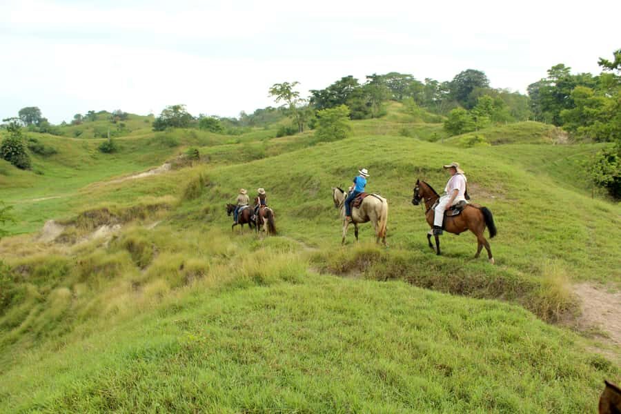 From Medellin; (All-In) The Real Horseback Ranch Experience - Lunch, break time, hammocks, and pool if the schedule allows
