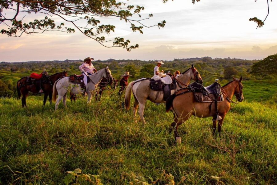 From Medellin; (All-In) The Real Horseback Ranch Experience - Wildlife you might see in the native forest and open fields