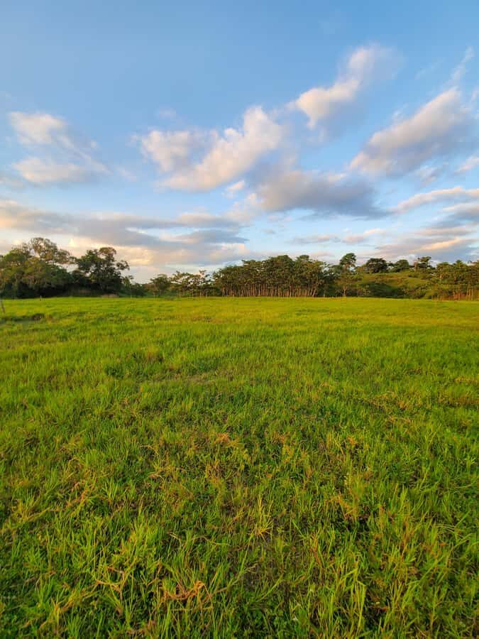 From Medellin; (All-In) The Real Horseback Ranch Experience - Price and what the $250 includes (so you can judge value fast)