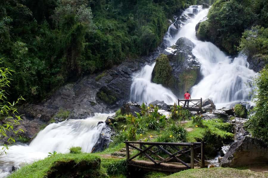 From Medellín: El Retiro Private Tour with Food Tastings - Dessert Sampling in Llanogrande and San Antonio de Pereira: Sweet Stops That Feel Like an Event