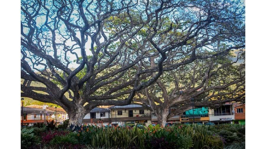 From Medellín: Jardín, Andes, and Hispania Day Trip - From Medellín to Hispania and Los Andes: the slow warm-up