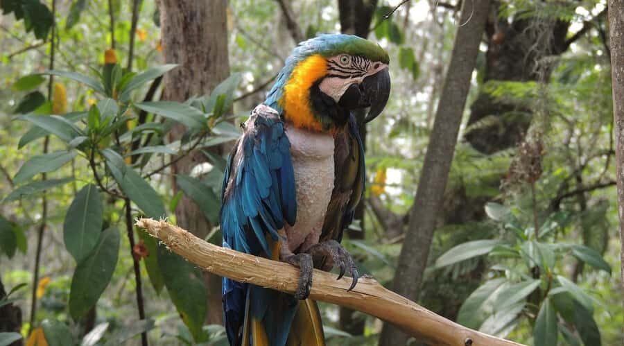 From Medellín: Jardín Private 2-Day Tour with Activities - Quick reasons to pick this Jardín private tour