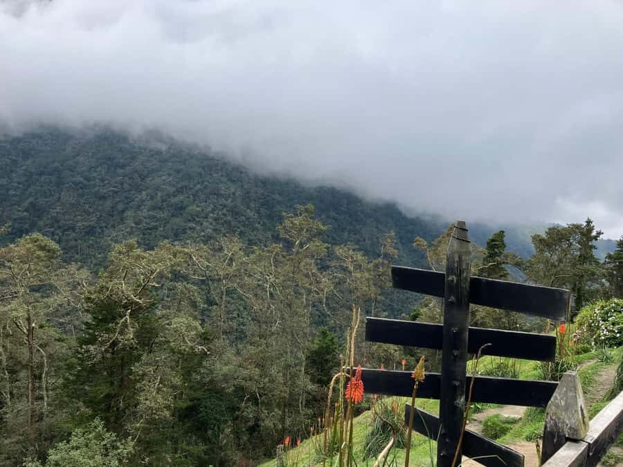 From Medellín: Jardín Private 2-Day Tour with Activities - La Garrucha cable car: the viewpoint you don’t have to work for