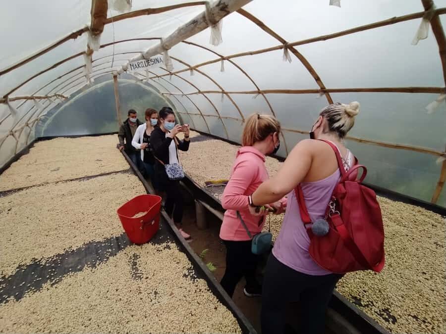 From Medellin: Private Envigado Coffee Tour with Tastings - Why Envigado’s coffee day feels like a real Medellín escape