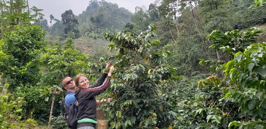From Medellin: Private Envigado Coffee Tour with Tastings - The coffee villa: a seed-to-cup walkthrough you can actually use