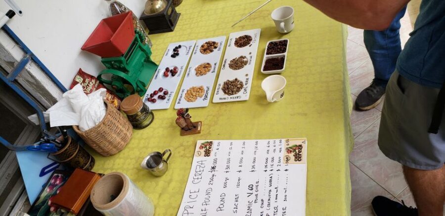 From Medellin: Private Envigado Coffee Tour with Tastings - Picking your own beans: hands-on work that changes how you see coffee