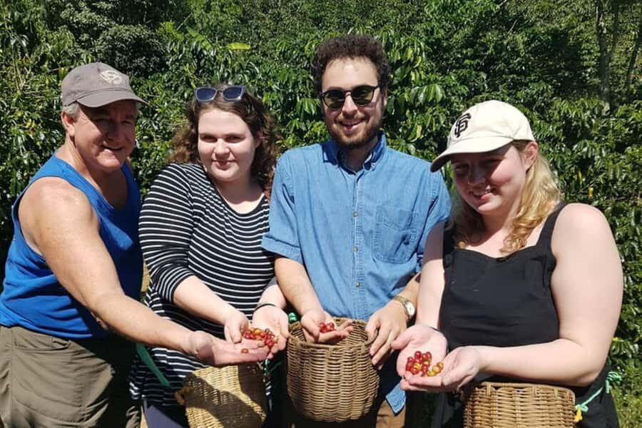 From Medellin: Private Envigado Coffee Tour with Tastings - The second plantation stop near the city: flowers, cultivation, and coffee as a crop