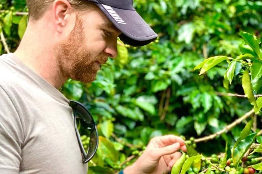 From Medellin: Private Guatape Car Tour with Coffee Tour - Price and value: what $147 buys you in real terms