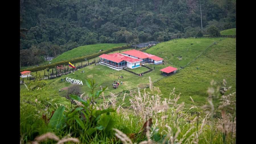 From Salento: Cocora Valley Hiking Tour with Lunch - Lunch at the base: real fuel, not a rushed afterthought