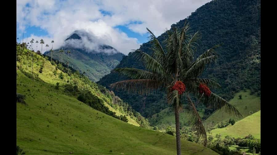From Salento: Cocora Valley Hiking Tour with Lunch - What to bring for a better Cocora day